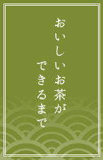 おいしいお茶ができるまで